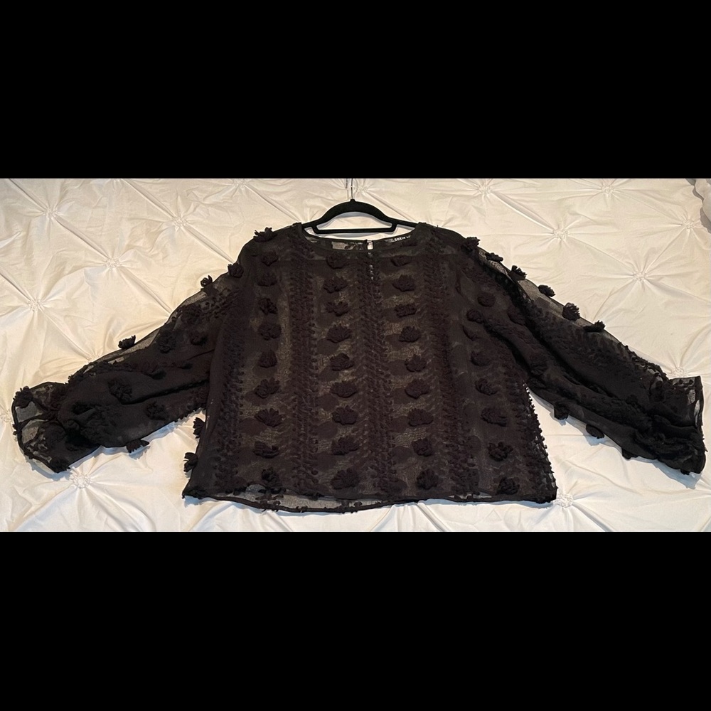 SHEIN Sheer Long Sleeve Blouse